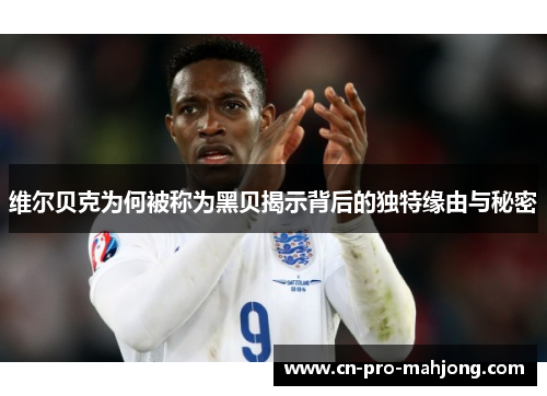 维尔贝克为何被称为黑贝揭示背后的独特缘由与秘密