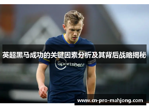 英超黑马成功的关键因素分析及其背后战略揭秘